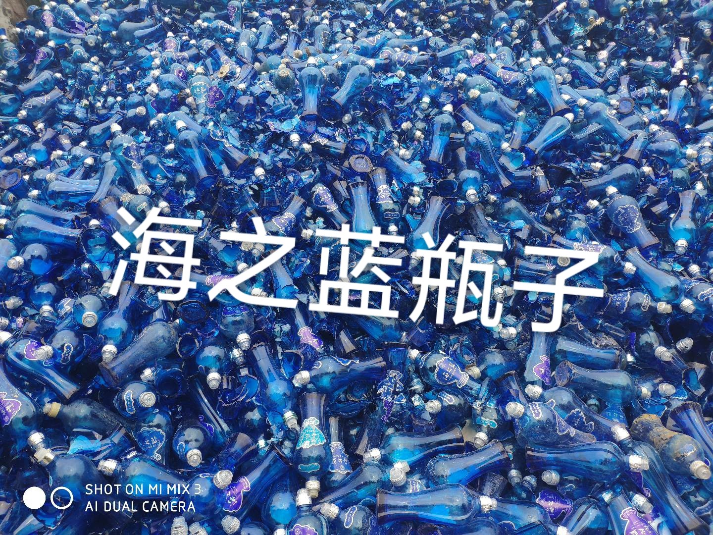 东海海之蓝瓶回收