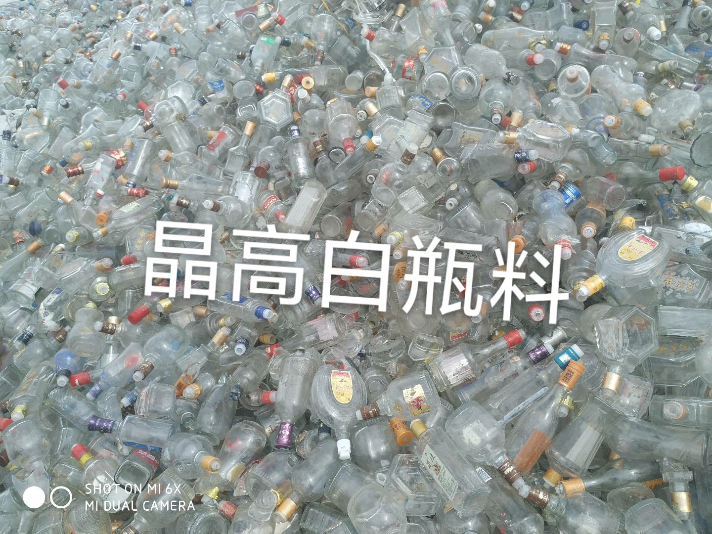 东海晶高白瓶料回收