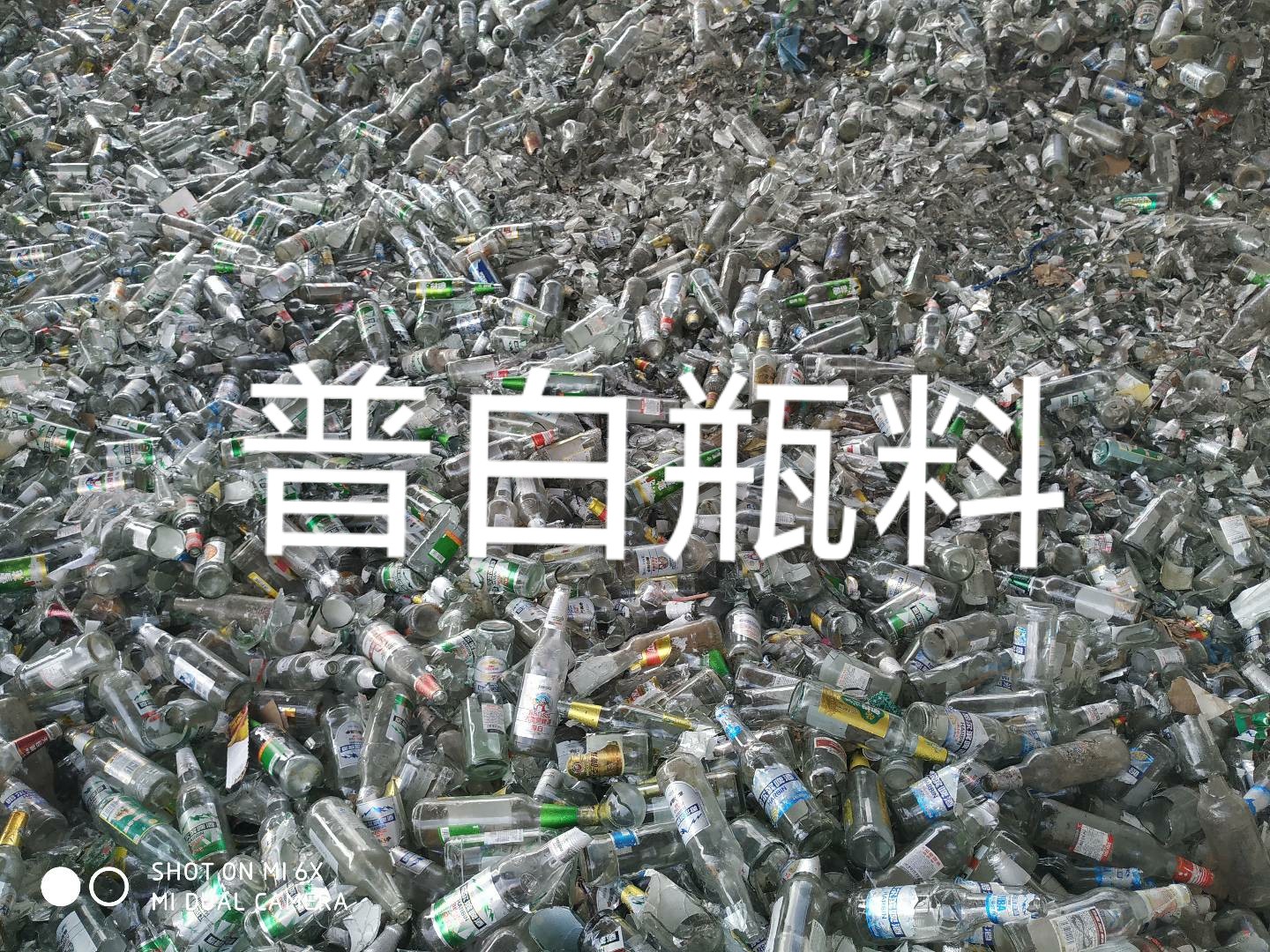 东海普白瓶料回收